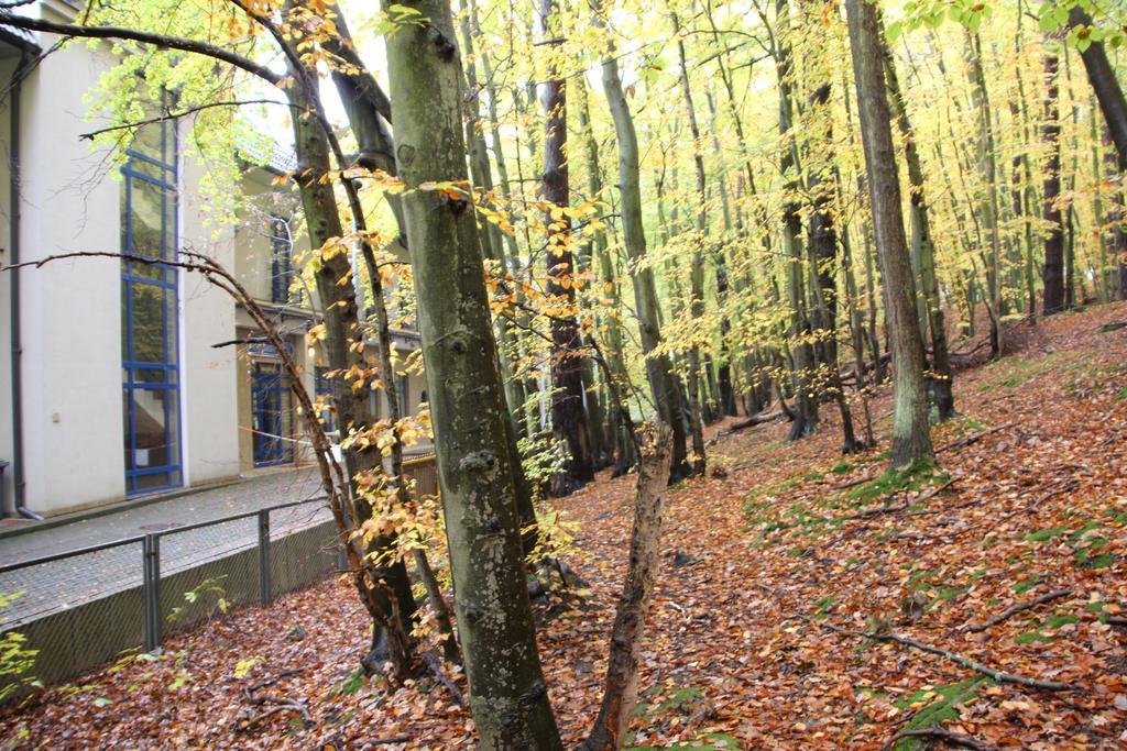 Hotel Lesny Sopot Eksteriør billede